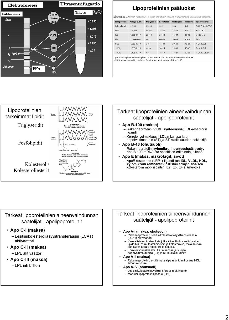 Korreloi voimakkaasti LDL:n kanssa ja on sepelvaltimotudin (ST) ja ST kuolleisuuden riskitekijä Apo B 48 (ohutsuoli) Rakenneproteiini kylomikroni synteesissä; syntyy apo B 100 mrna:sta spesifisen