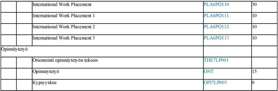 10 International Work Placement 3 PLA6PO113 10 Opinnäytetyö