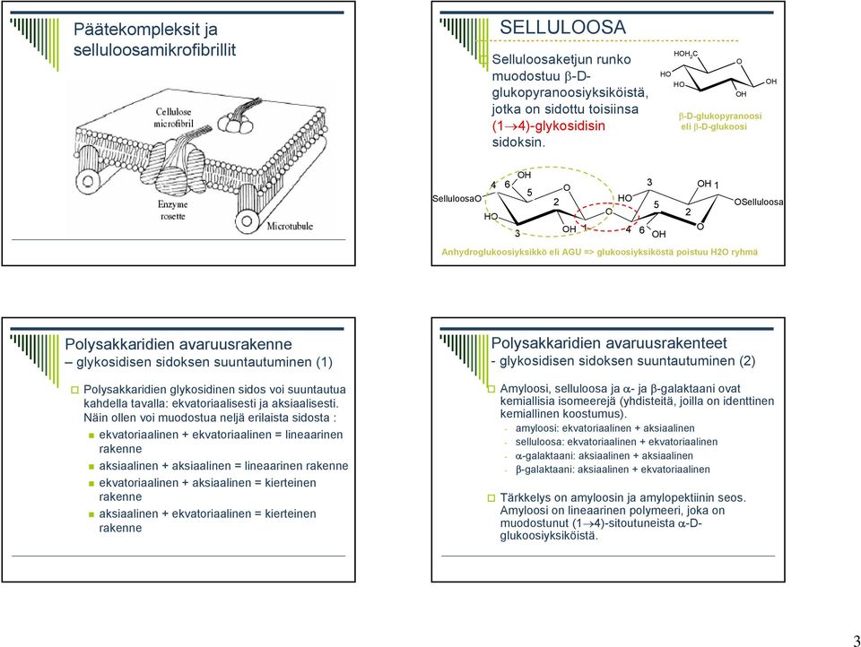 glykosidisen sidoksen suuntautuminen (1) Polysakkaridien glykosidinen sidos voi suuntautua kahdella tavalla: ekvatoriaalisesti ja aksiaalisesti.