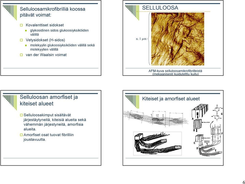 1 µm AFM-kuva selluloosamikrofibrilleistä (mekaanisesti kuidutetttu kuitu) Selluloosan amorfiset ja kiteiset alueet Kiteiset ja