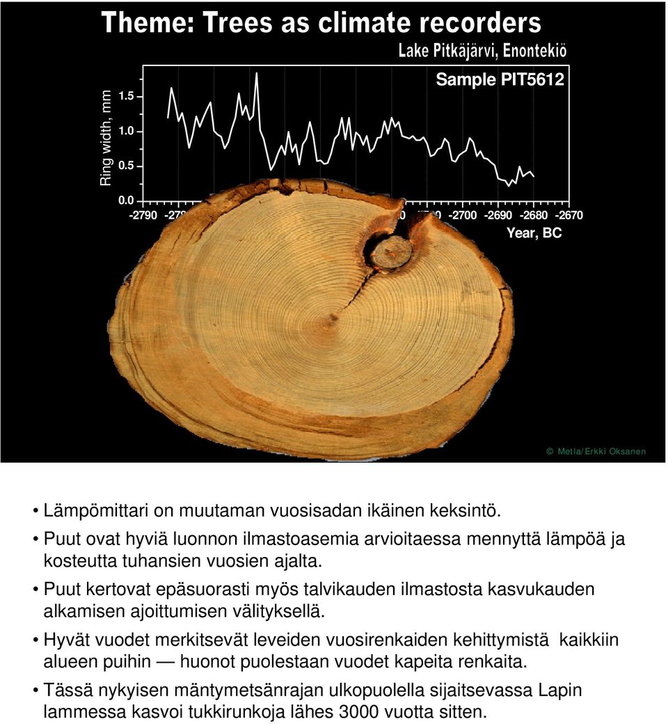 Puut ovat hyviä luonnon ilmastoasemia arvioitaessa mennyttä lämpöä ja kosteutta tuhansien vuosien ajalta.