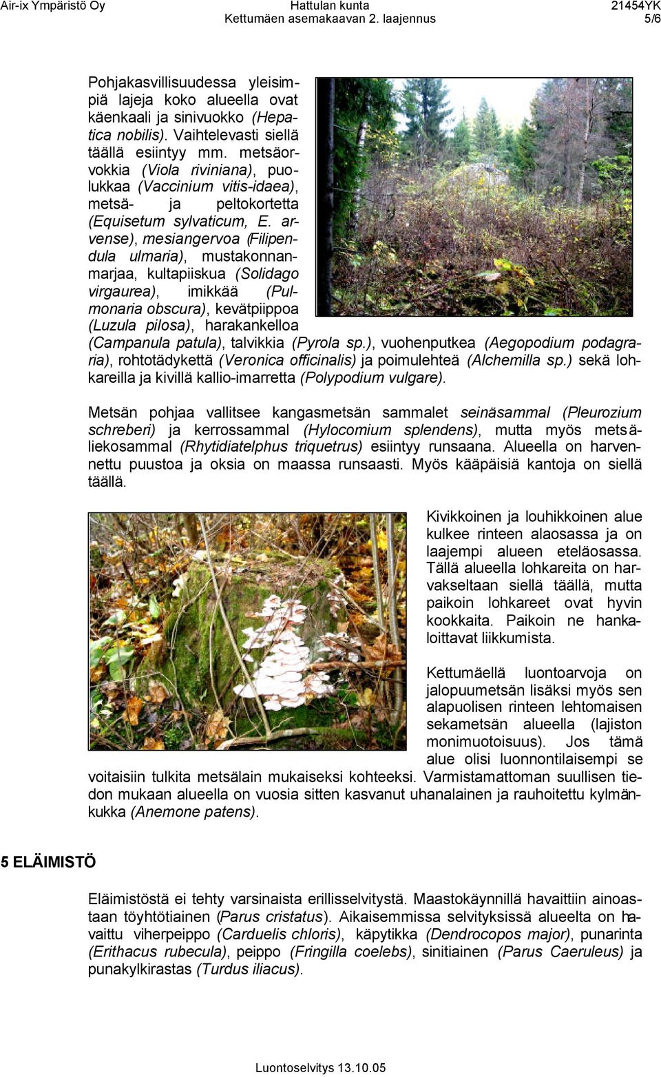 arvense), mesiangervoa (Filipendula ulmaria), mustakonnanmarjaa, kultapiiskua (Solidago virgaurea), imikkää (Pulmonaria obscura), kevätpiippoa (Luzula pilosa), harakankelloa (Campanula patula),