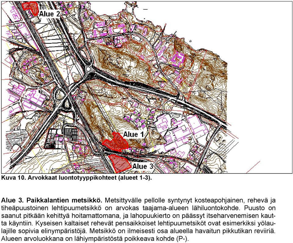 Puusto on saanut pitkään kehittyä hoitamattomana, ja lahopuukierto on päässyt itseharvenemisen kautta käyntiin.