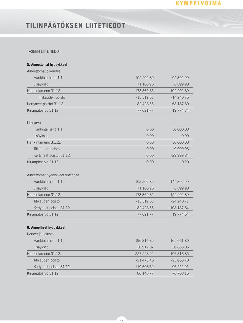 12. 0,00 50 000,00 Tilikauden poisto 0,00-9 999,96 Kertyneet poistot 31.12. 0,00-29 999,84 Kirjanpitoarvo 31.12. 0,00 0,20 Aineettomat hyödykkeet yhteensä Hankintameno 1.1. 102 202,89 145 302,99 Lisäykset 71 166,96 6 899,90 Hankintameno 31.