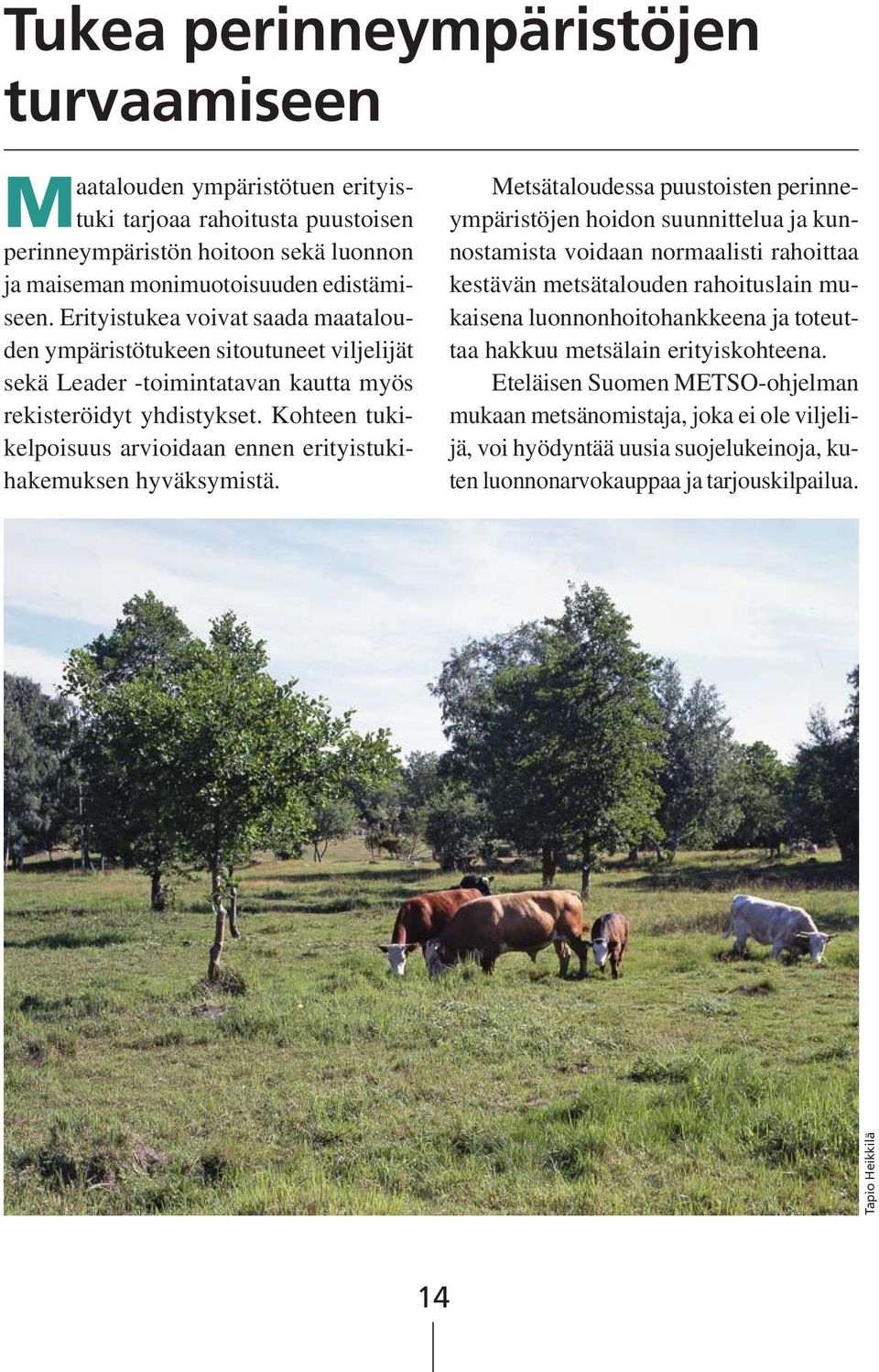 Kohteen tukikelpoisuus arvioidaan ennen erityistukihakemuksen hyväksymistä.
