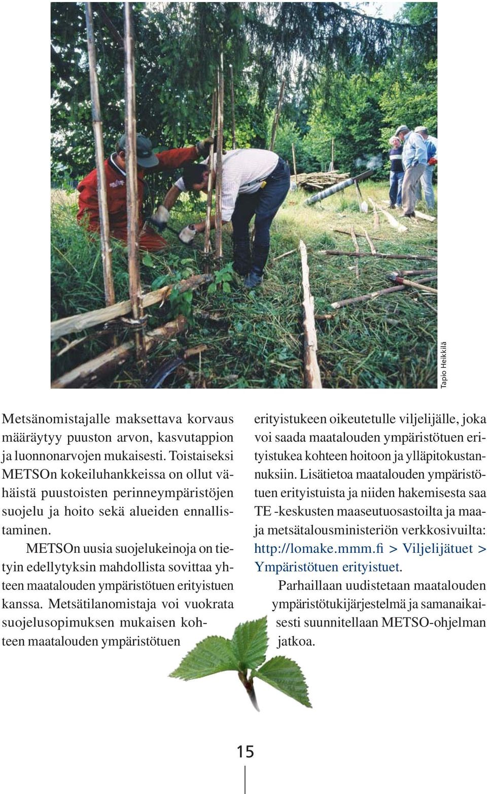 METSOn uusia suojelukeinoja on tietyin edellytyksin mahdollista sovittaa yhteen maatalouden ympäristötuen erityistuen kanssa.