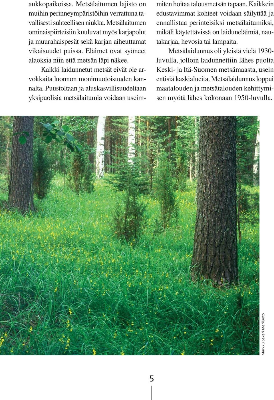 Kaikki laidunnetut metsät eivät ole arvokkaita luonnon monimuotoisuuden kannalta. Puustoltaan ja aluskasvillisuudeltaan yksipuolisia metsälaitumia voidaan useimmiten hoitaa talousmetsän tapaan.