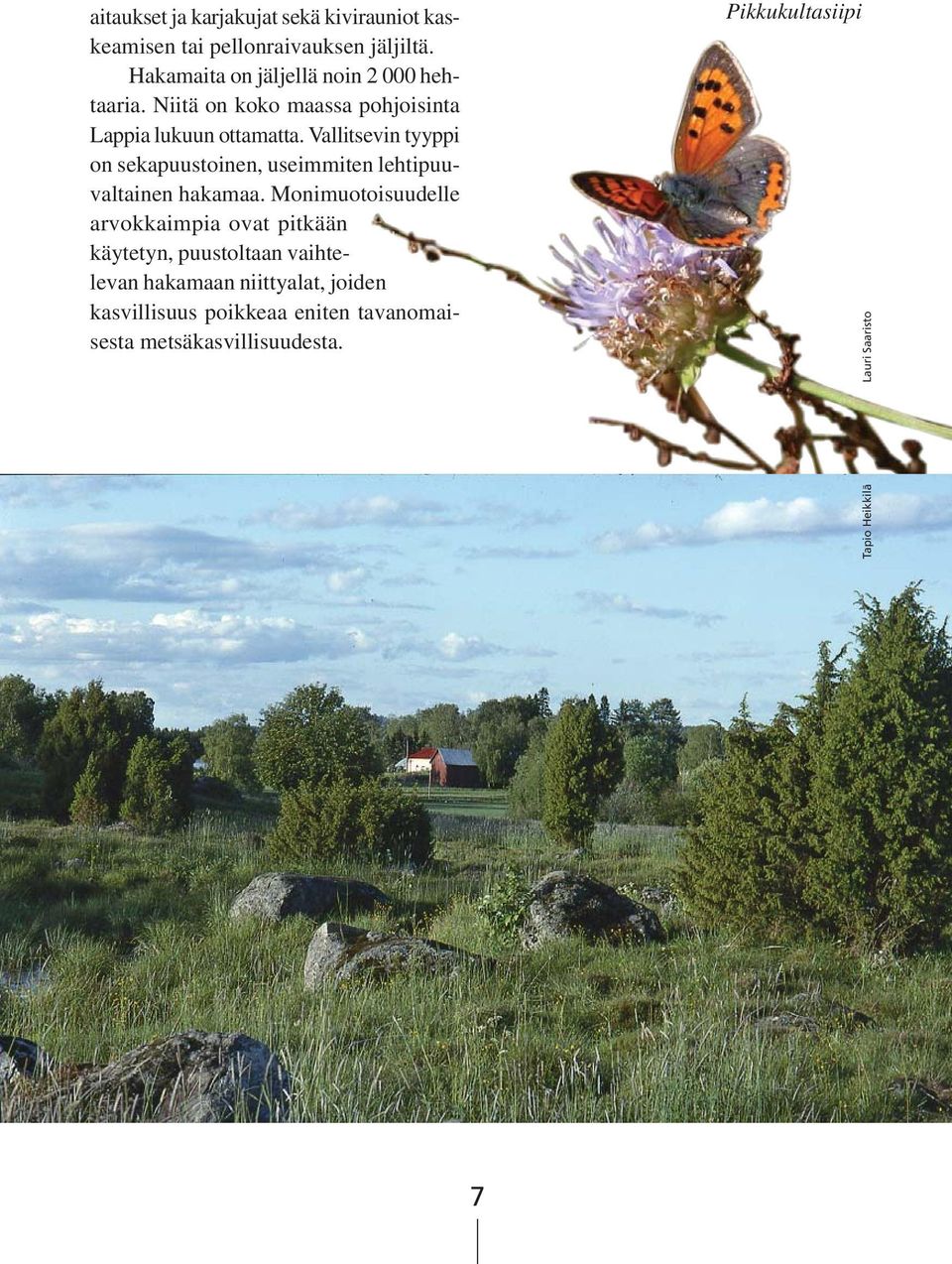 Vallitsevin tyyppi on sekapuustoinen, useimmiten lehtipuuvaltainen hakamaa.