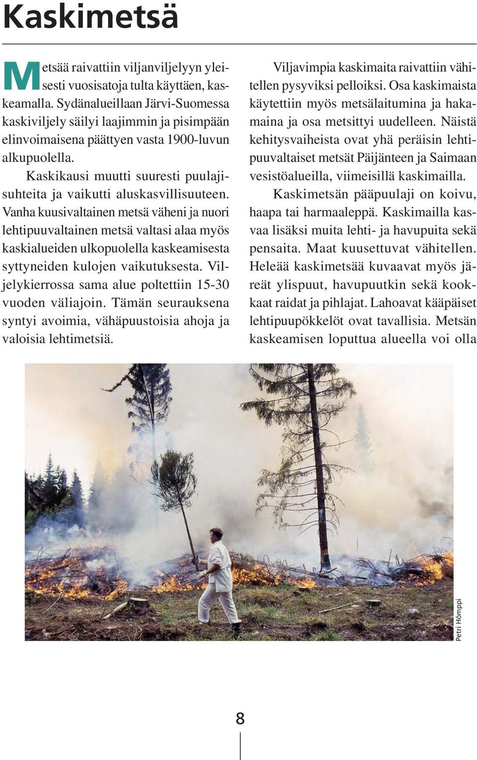 Kaskikausi muutti suuresti puulajisuhteita ja vaikutti aluskasvillisuuteen.