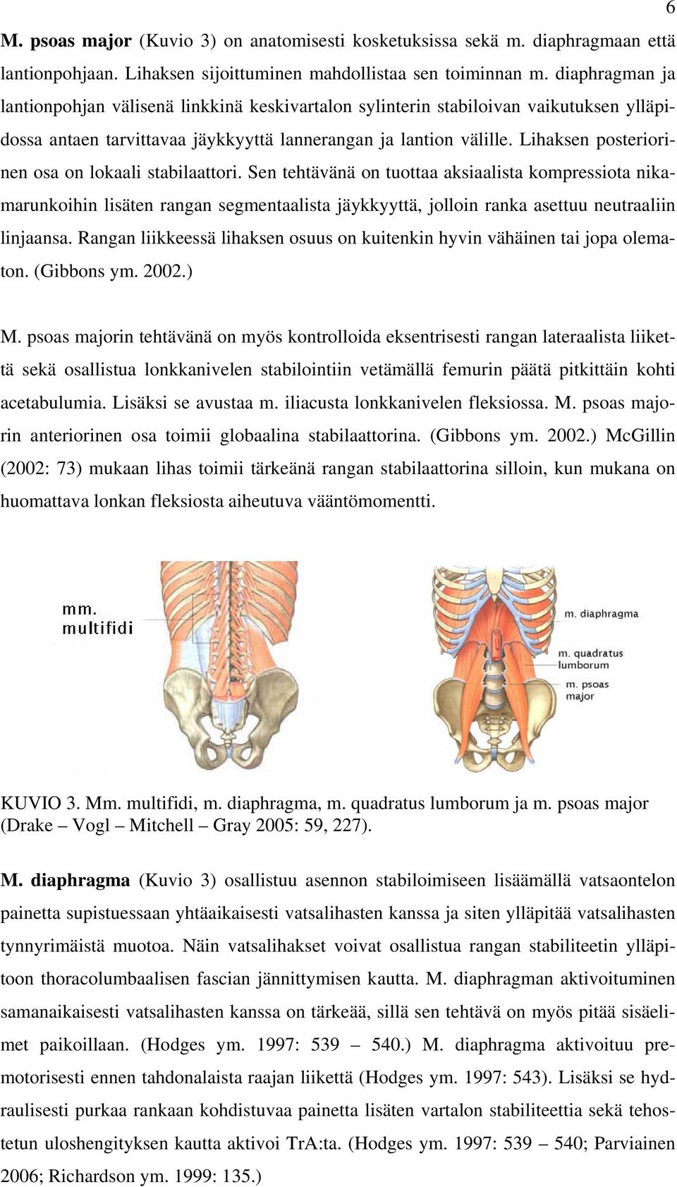 Lihaksen posteriorinen osa on lokaali stabilaattori.