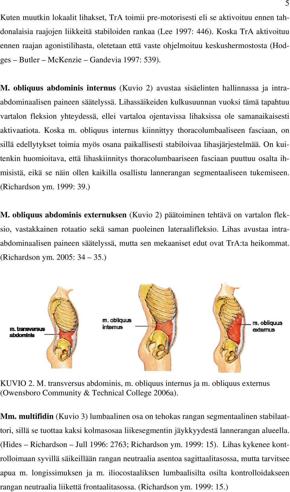 Kenzie Gandevia 1997: 539). M. obliquus abdominis internus (Kuvio 2) avustaa sisäelinten hallinnassa ja intraabdominaalisen paineen säätelyssä.