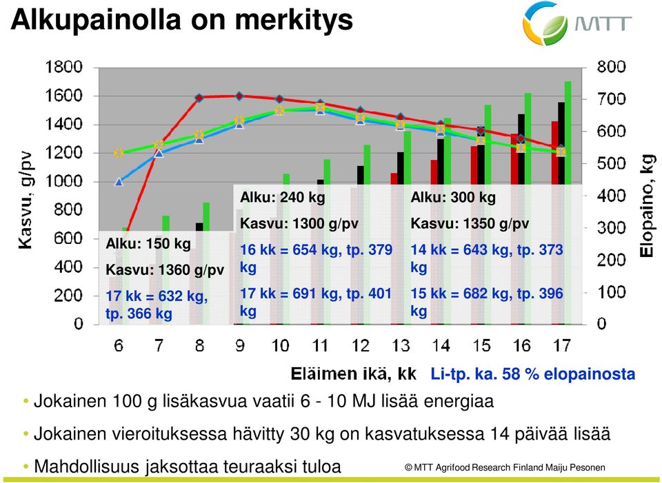 401 kg Alku: 300 kg Kasvu: 1350 g/pv 14 kk = 643 kg, tp. 373 kg 15 kk = 682 kg, tp.