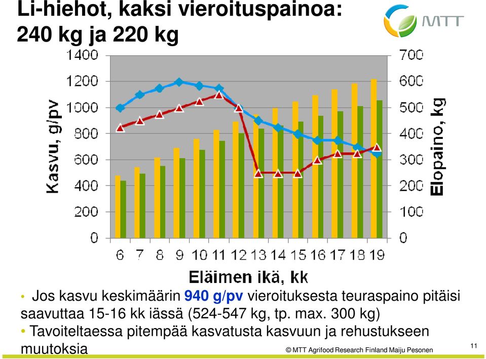 saavuttaa 15-16 kk iässä (524-547 kg, tp. max.