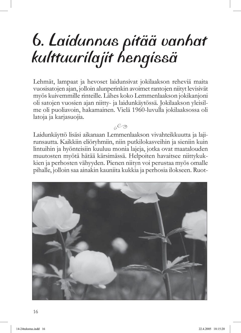 Vielä 1960-luvulla jokilaaksossa oli latoja ja karjasuojia. Laidunkäyttö lisäsi aikanaan Lemmenlaakson vivahteikkuutta ja lajirunsautta.