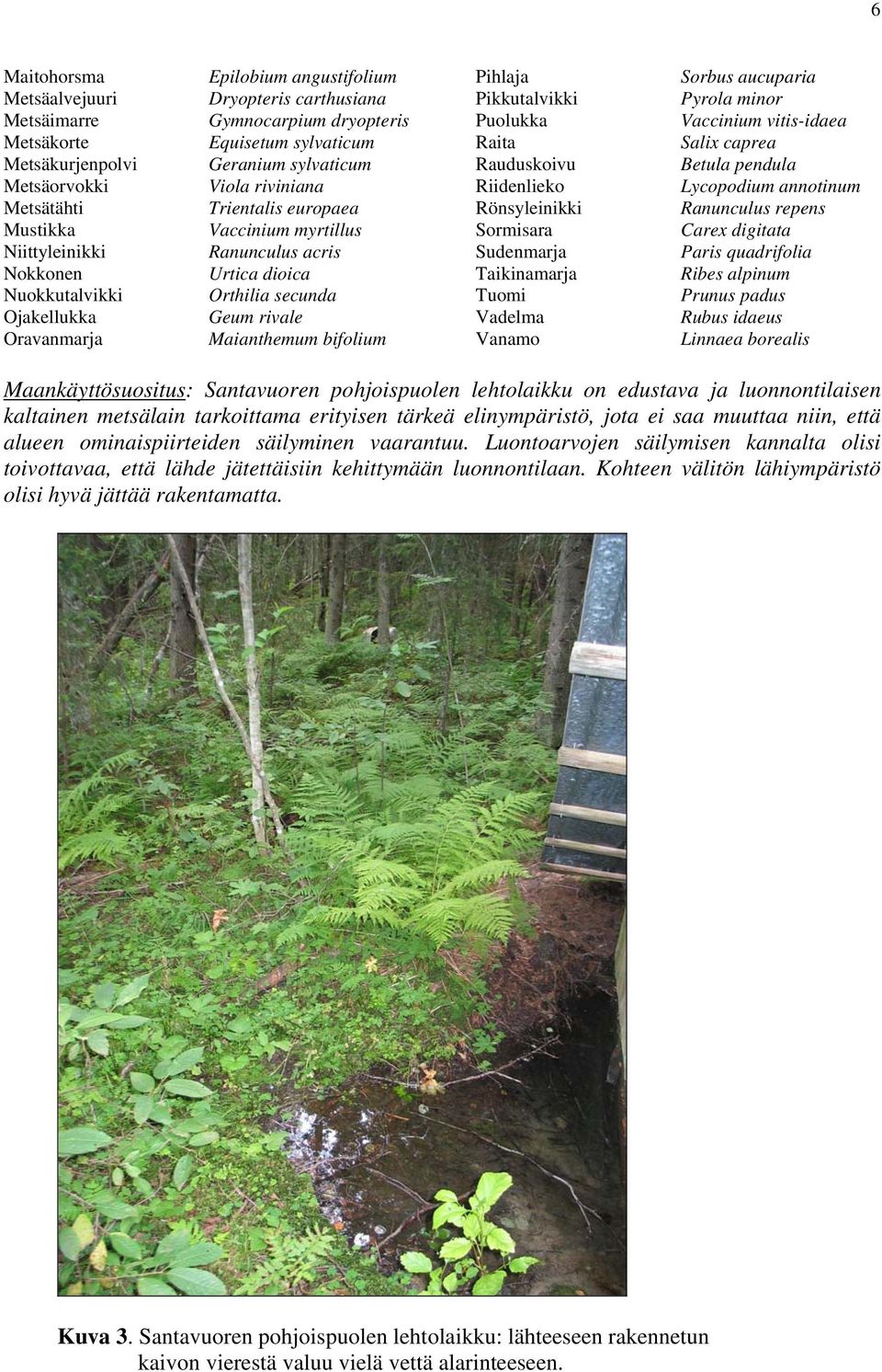 Maianthemum bifolium Pihlaja Pikkutalvikki Puolukka Raita Rauduskoivu Riidenlieko Rönsyleinikki Sormisara Sudenmarja Taikinamarja Tuomi Vadelma Vanamo Sorbus aucuparia Pyrola minor Vaccinium