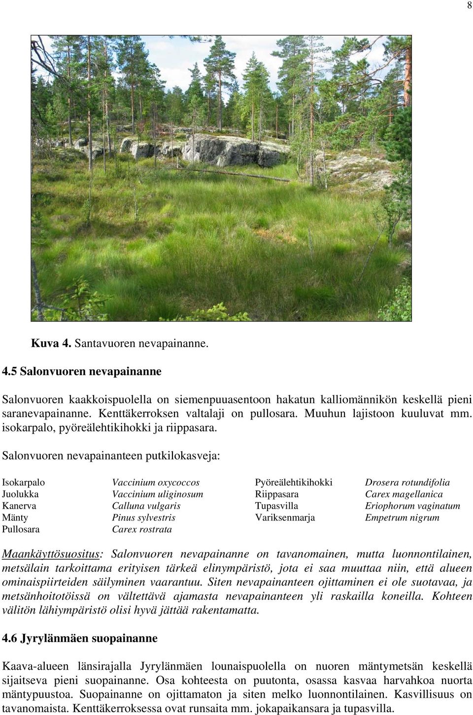 Salonvuoren nevapainanteen putkilokasveja: Isokarpalo Juolukka Kanerva Mänty Pullosara Vaccinium oxycoccos Vaccinium uliginosum Calluna vulgaris Pinus sylvestris Carex rostrata Pyöreälehtikihokki