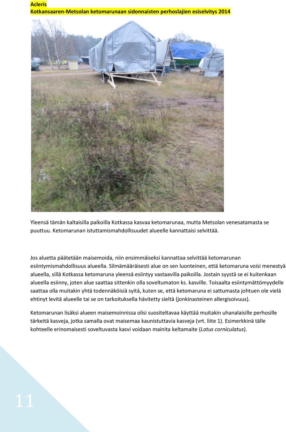 Silmämääräisesti alue on sen luonteinen, että ketomaruna voisi menestyä alueella, sillä Kotkassa ketomaruna yleensä esiintyy vastaavilla paikoilla.