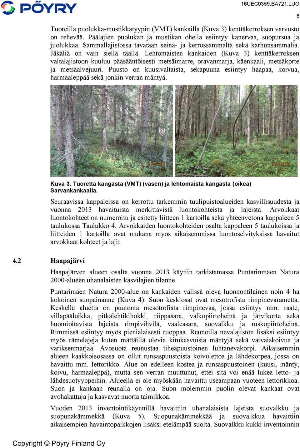 Lehtomaisten kankaiden (Kuva 3) kenttäkerroksen valtalajistoon kuuluu pääsääntöisesti metsäimarre, oravanmarja, käenkaali, metsäkorte ja metsäalvejuuri.