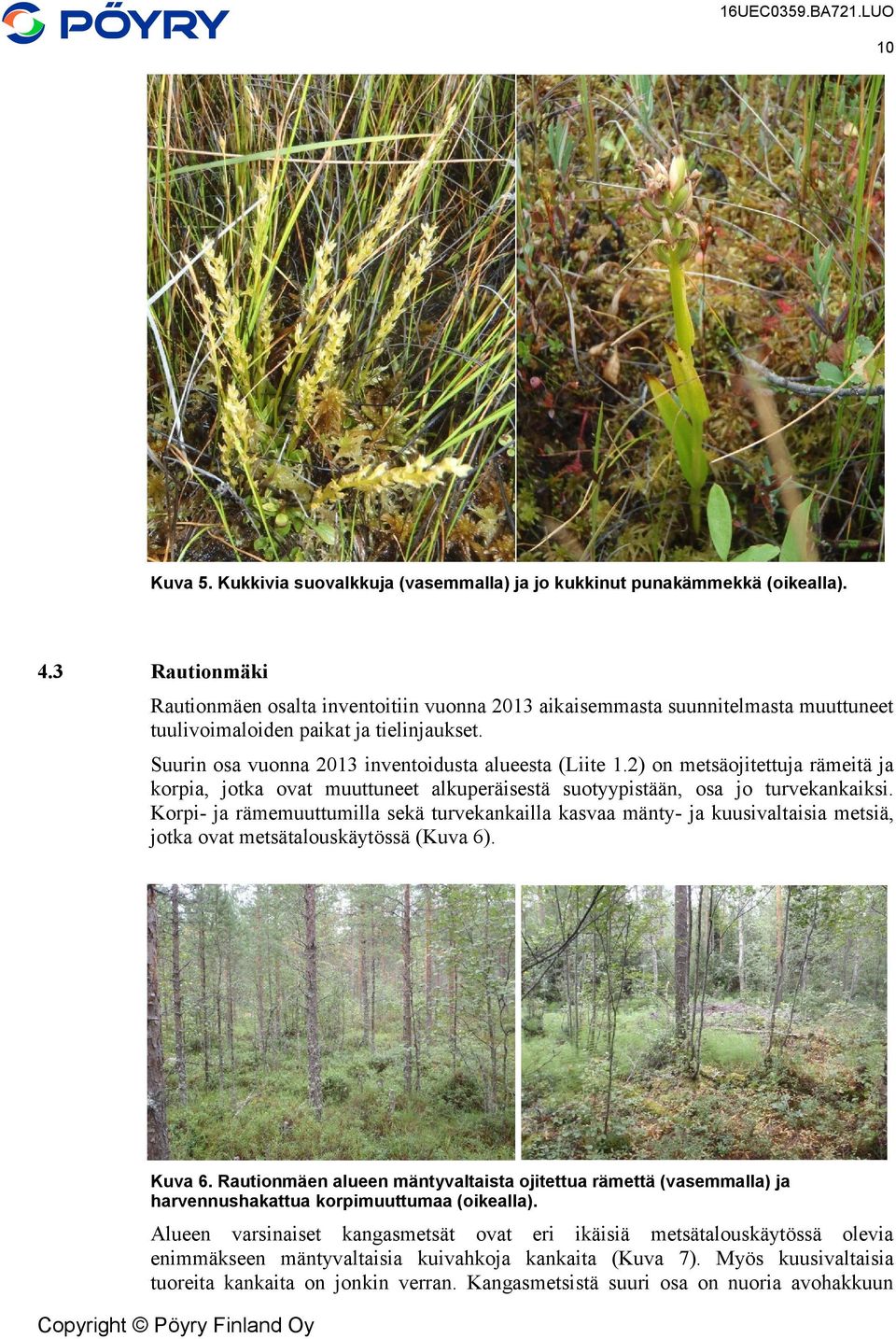 2) on metsäojitettuja rämeitä ja korpia, jotka ovat muuttuneet alkuperäisestä suotyypistään, osa jo turvekankaiksi.