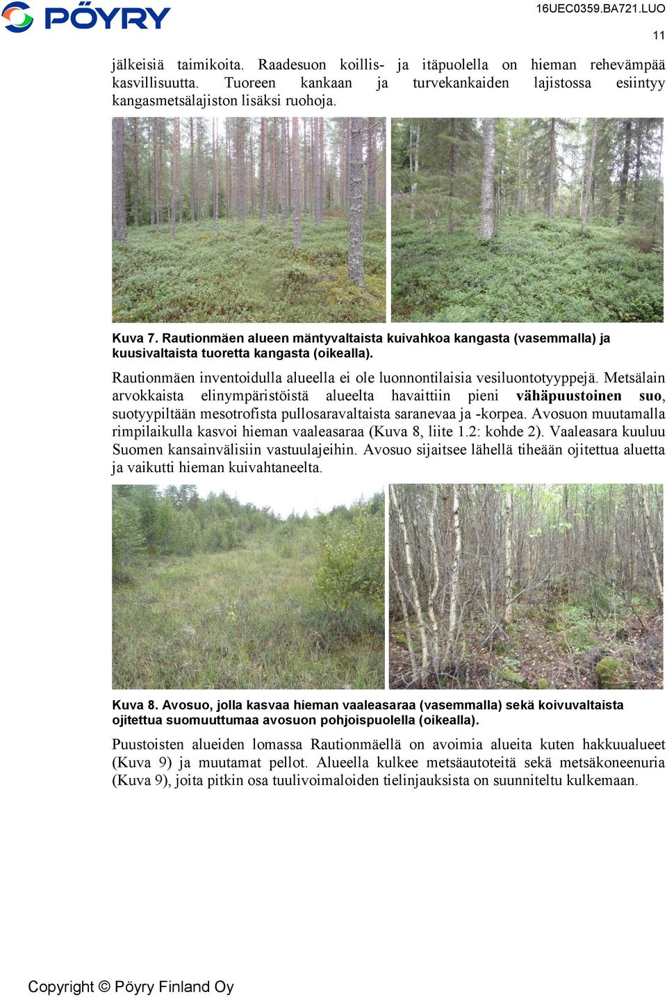 Metsälain arvokkaista elinympäristöistä alueelta havaittiin pieni vähäpuustoinen suo, suotyypiltään mesotrofista pullosaravaltaista saranevaa ja -korpea.