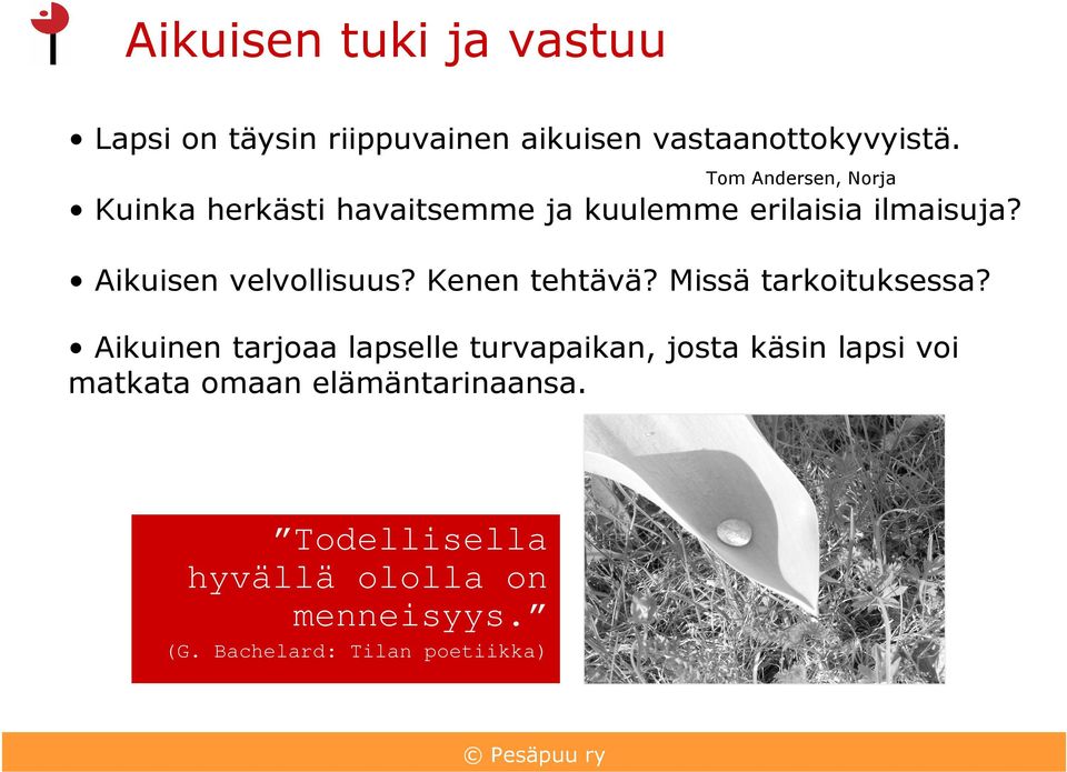 Aikuisen velvollisuus? Kenen tehtävä? Missä tarkoituksessa?