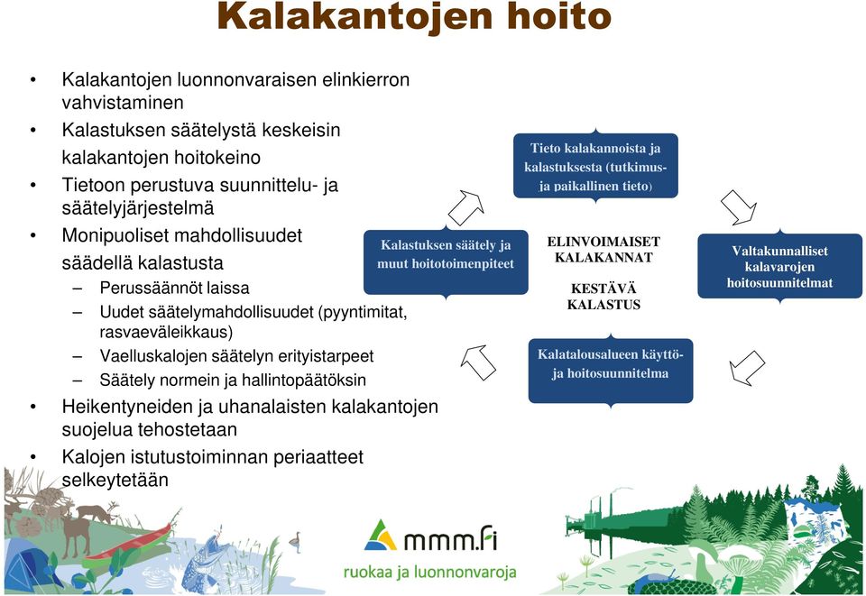 hallintopäätöksin Heikentyneiden ja uhanalaisten kalakantojen suojelua tehostetaan Kalojen istutustoiminnan periaatteet selkeytetään Kalastuksen säätely ja muut hoitotoimenpiteet Tieto