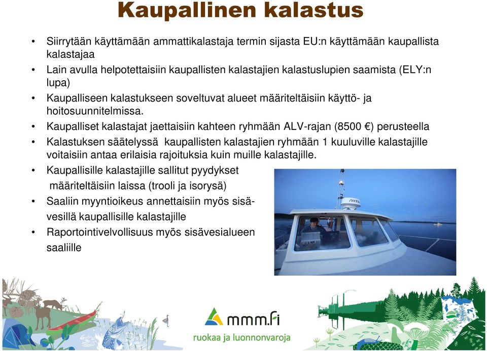 Kaupalliset kalastajat jaettaisiin kahteen ryhmään ALV-rajan (8500 ) perusteella Kalastuksen säätelyssä kaupallisten kalastajien ryhmään 1 kuuluville kalastajille voitaisiin antaa