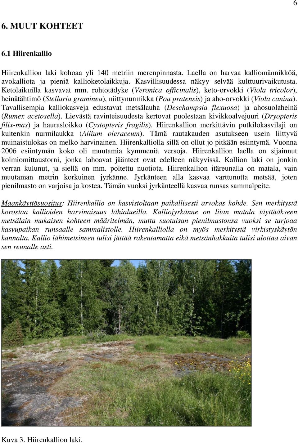rohtotädyke (Veronica officinalis), keto-orvokki (Viola tricolor), heinätähtimö (Stellaria graminea), niittynurmikka (Poa pratensis) ja aho-orvokki (Viola canina).