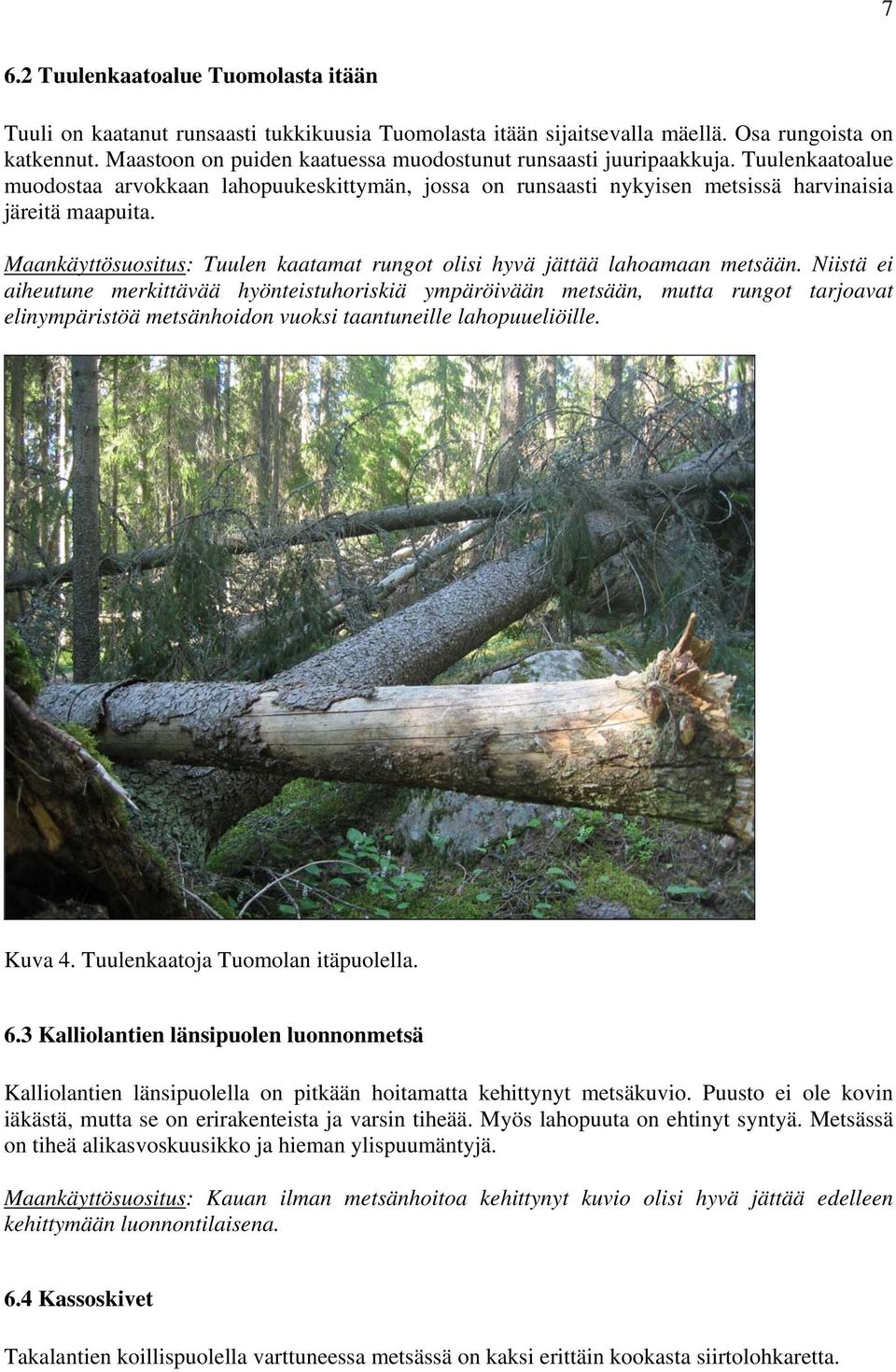 Maankäyttösuositus: Tuulen kaatamat rungot olisi hyvä jättää lahoamaan metsään.