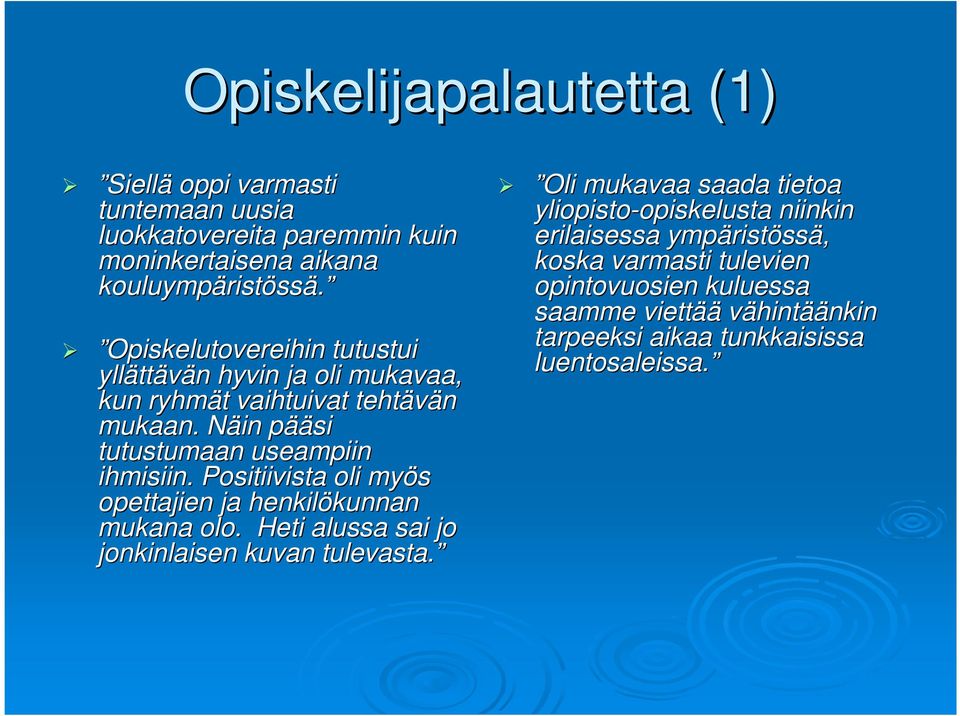 Positiivista oli myös opettajien ja henkilökunnan kunnan mukana olo. Heti alussa sai jo jonkinlaisen kuvan tulevasta.