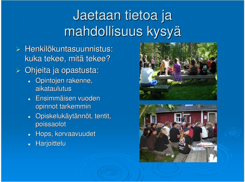 Ohjeita ja opastusta: Opintojen rakenne, aikataulutus