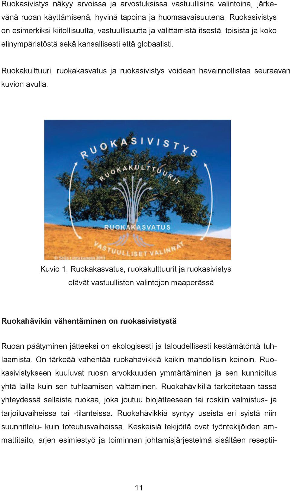 Ruokakulttuuri, ruokakasvatus ja ruokasivistys voidaan havainnollistaa seuraavan kuvion avulla. Kuvio 1.