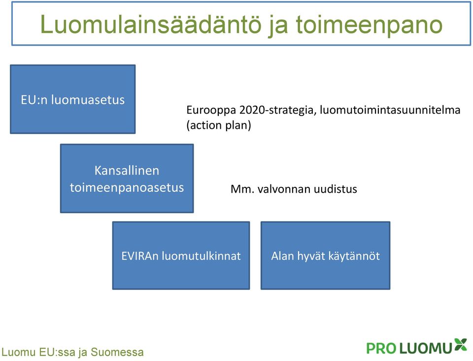 Kansallinen toimeenpanoasetus Mm.