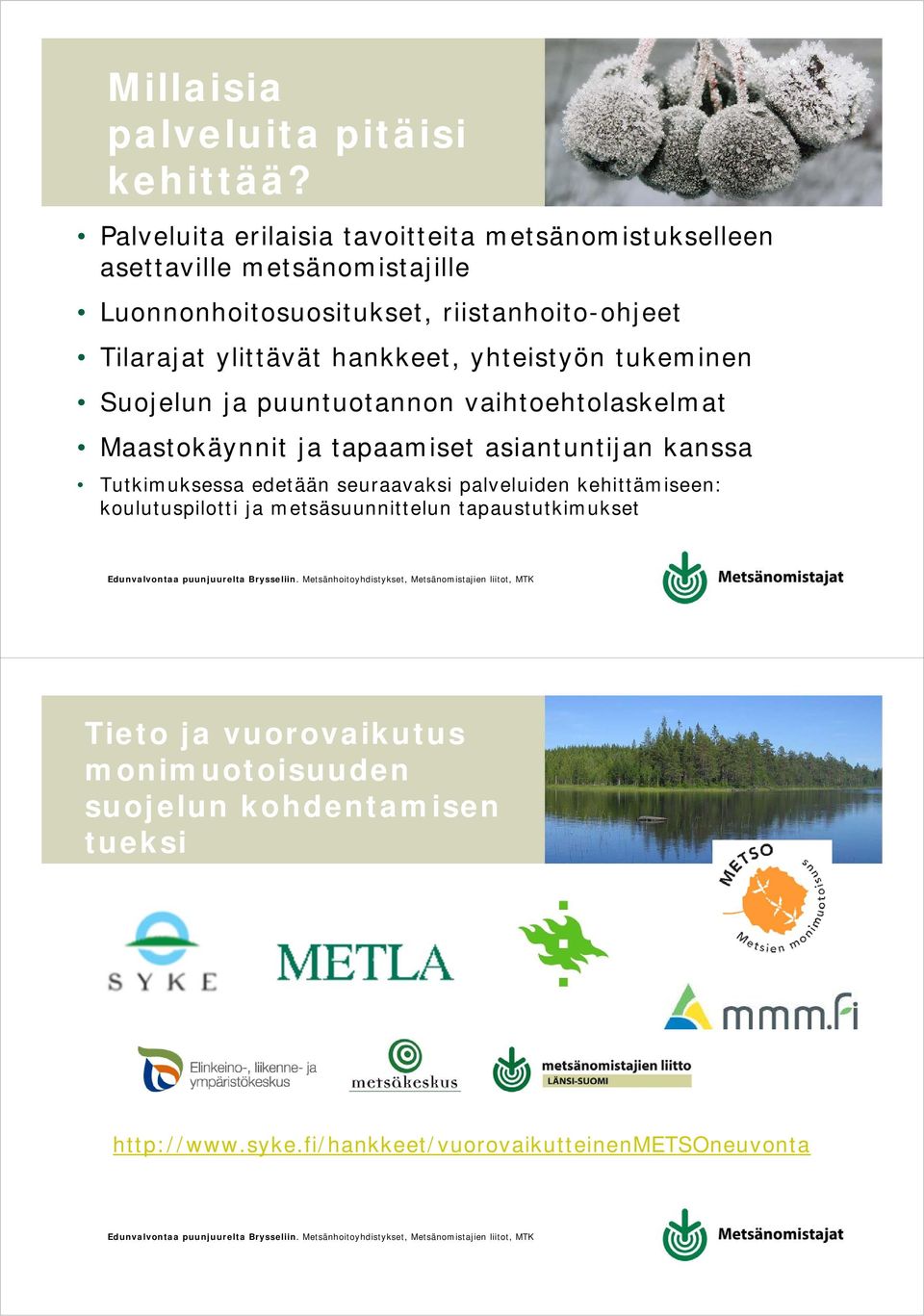 ylittävät hankkeet, yhteistyön tukeminen Suojelun ja puuntuotannon vaihtoehtolaskelmat Maastokäynnit ja tapaamiset asiantuntijan kanssa