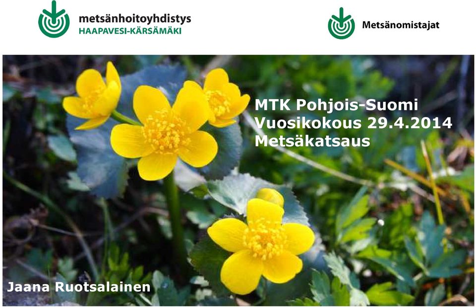 Pohjois-Suomi