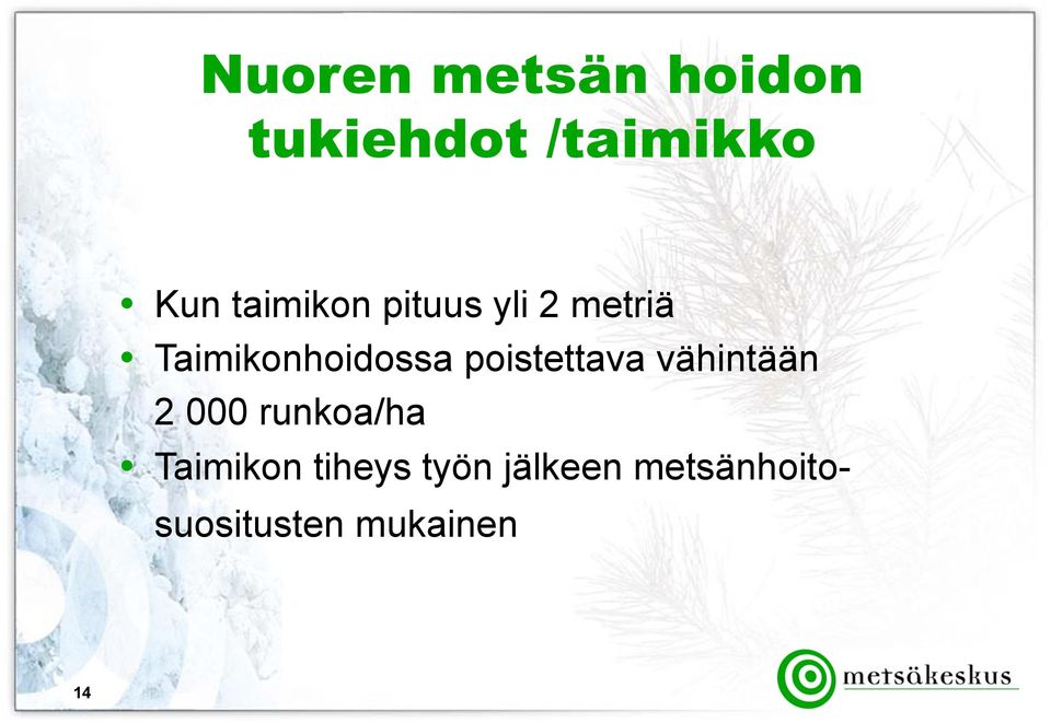 poistettava vähintään 2 000 runkoa/ha Taimikon