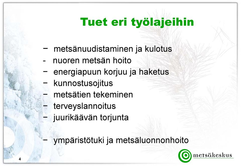 kunnostusojitus metsätien tekeminen terveyslannoitus