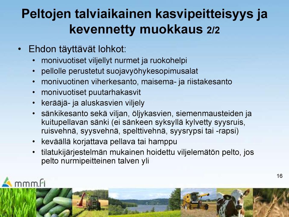 sänkikesanto sekä viljan, öljykasvien, siemenmausteiden ja kuitupellavan sänki (ei sänkeen syksyllä kylvetty syysruis, ruisvehnä, syysvehnä,