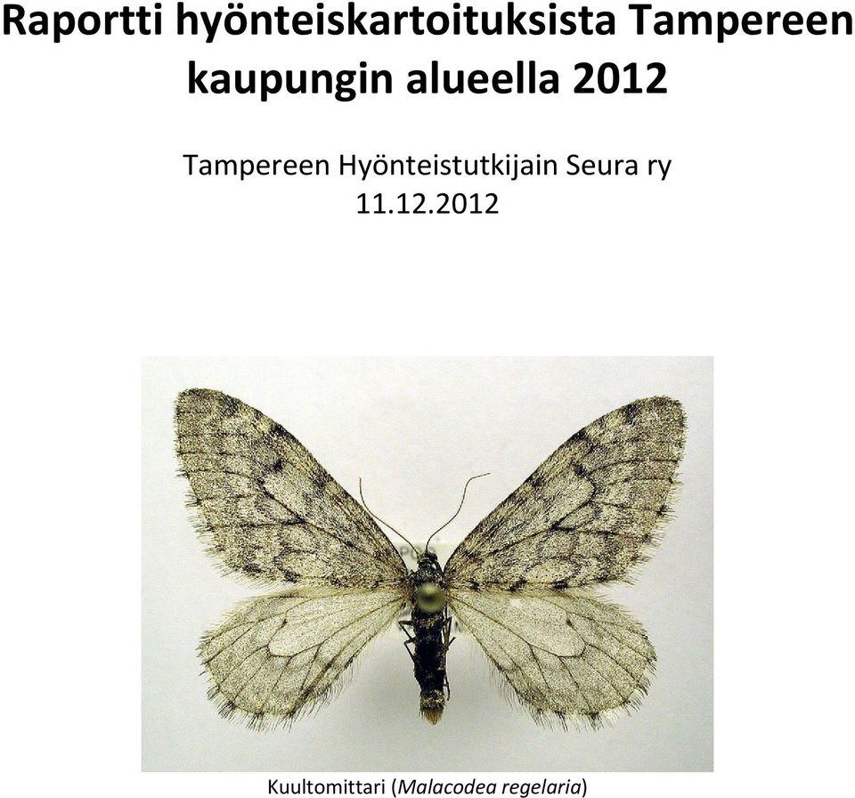 Tampereen Hyönteistutkijain Seura ry