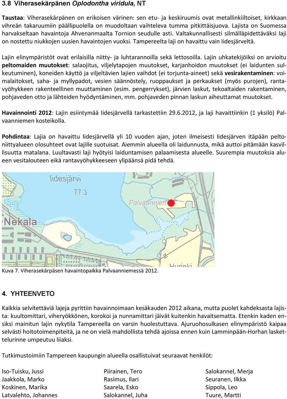 Valtakunnallisesti silmälläpidettäväksi laji on nostettu niukkojen uusien havaintojen vuoksi. Tampereelta laji on havaittu vain Iidesjärveltä.