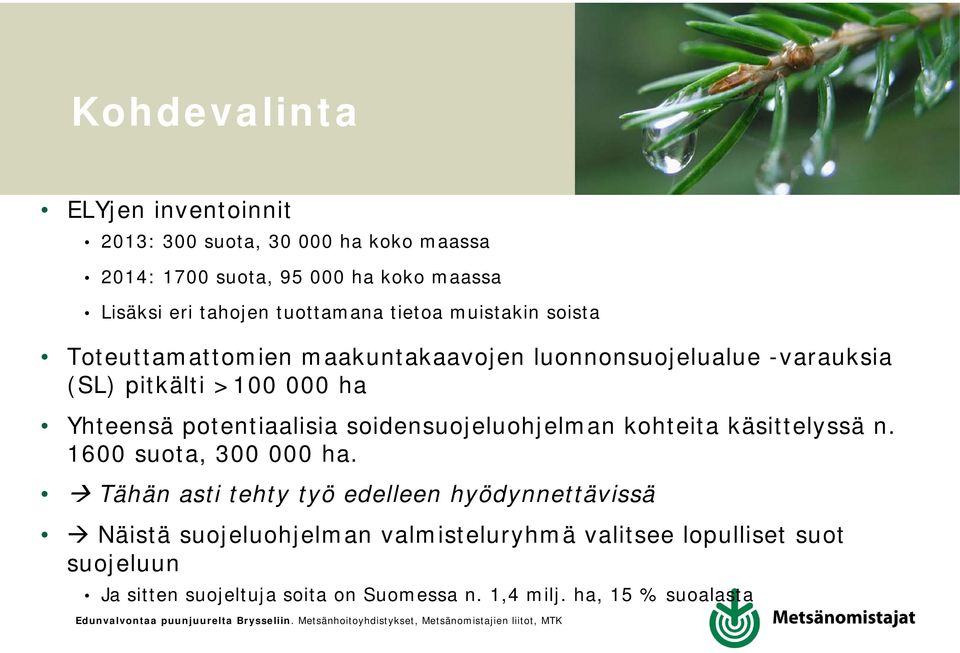 potentiaalisia soidensuojeluohjelman kohteita käsittelyssä n. 1600 suota, 300 000 ha.