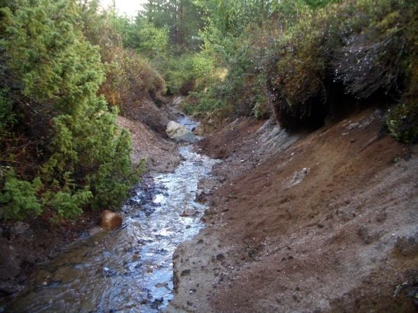 Latvapurojen ominaisuudet ja kunnostaminen - Uoma morfologia - Sedimentin kulkeutuminen ja pidättyminen - Eroosio ojitusalueilla