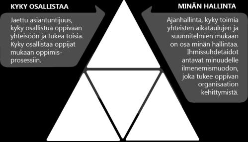 määrittely Taitotasojen tunnistaminen kysymykset Datan keruu ja analysointi Tilannekuva graafina Lisäaineistoa