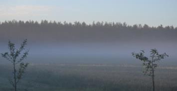 KaiKu Kärsämäen kunnan kuukausijulkaisu 8 / 2016 Kärsämäen kunta puh. 044-445 6801 Viraston aukioloaika ma-pe 9-15 Keskuskatu 14 fax. 08 816 2800 Vastaava toimittaja: 86710 Kärsämäki www.karsamaki.