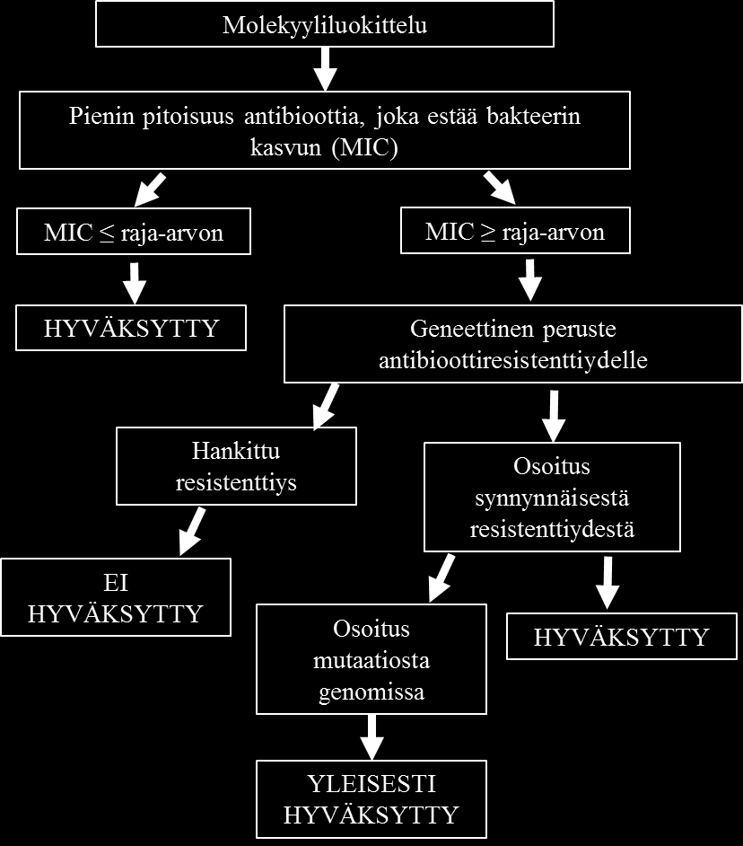 15 Antibioottiresistenttiyksissä on myös poikkeuksia (kuva 4). Jos antibioottiresistenttiys on jo maitohappobakteerilla itsessään alun perin ollut olemassa, voidaan se vielä hyväksyä probiootiksi.