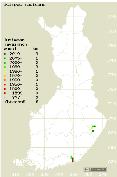 Kuva f. Juurtokaislan (Scirpus radicans) levinneisyys Suomessa vuonna 2013 vasemmalla (Lampinen ym. 2014, Helsingin yliopisto) ja oikealla lajin keskeiset tunnistuspiirteet (http://fi.wikipedia.