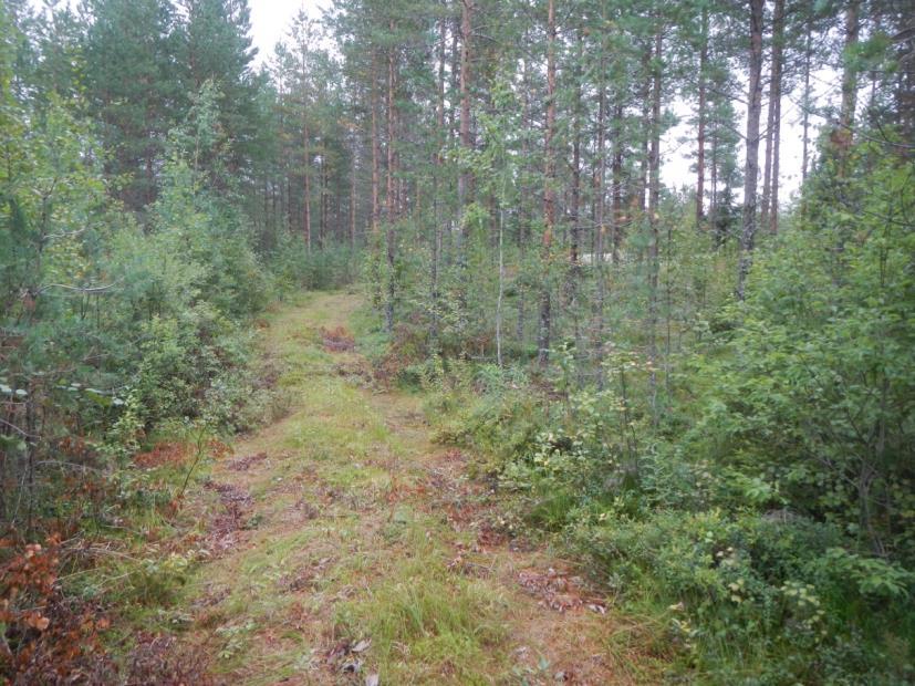 Oy Alavieskan Kytölän