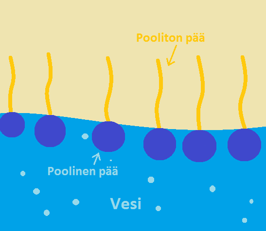 19 Kuva 2. Esimerkkikuva pinta-aktiivisesta aineesta ja sen toimintaperiaatteesta. Lähteen kuvaa mukaillen: http://en.wikipedia.org/wiki/file:surfactant.