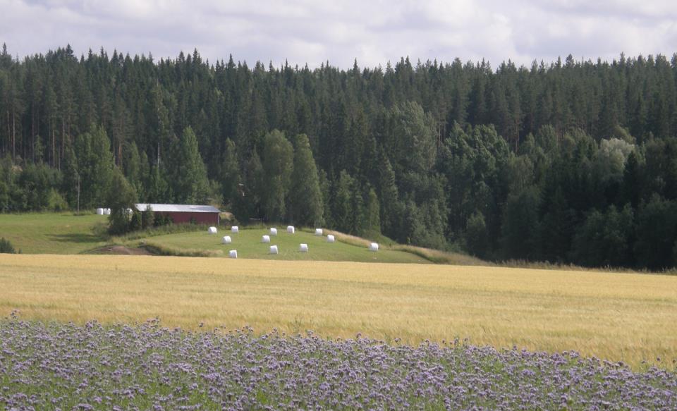 Luonnonhoitopellot Nurmi-LHP 170 /ha Tuet 2013, B-alue Kotieläintila Kasvinviljelytila Tilatuki 201 201 LFA-tuki 200 200 LFA-lisäosa 100