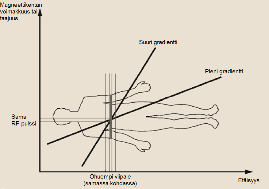 3.2. MRI-laitteen rakenne 27 viipaleen paksuuteen: jyrkkä gradientti tuottaa ohuemman alueen. RF-pulssin taajuudella voidaan taas vaikuttaa kuvattavan viipaleen sijaintiin.